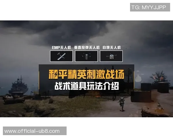 聚焦和平精英V5版本的灵活性与战术创新探讨 聚焦和平精英V5版本的灵活性与战术创新探讨